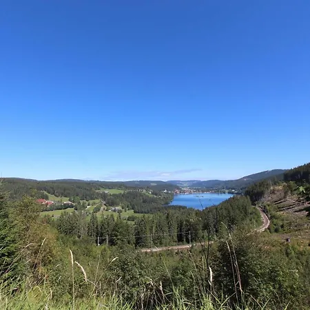 H&p Touristik Residenz Grafenmatt Gra-2-2 Apartment Feldberg (Baden-Wurttemberg)